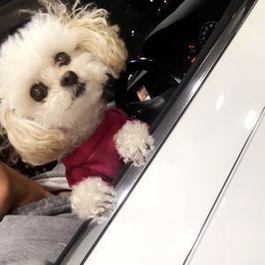 Meet your Posher, Jill